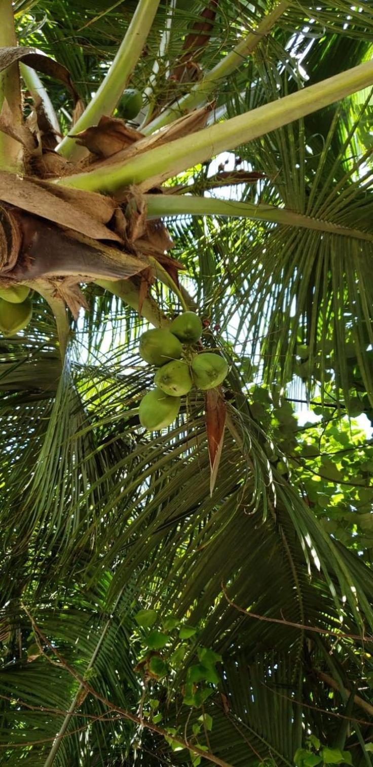 Tiwi Beach Resort & Spa مومباسا المظهر الخارجي الصورة
